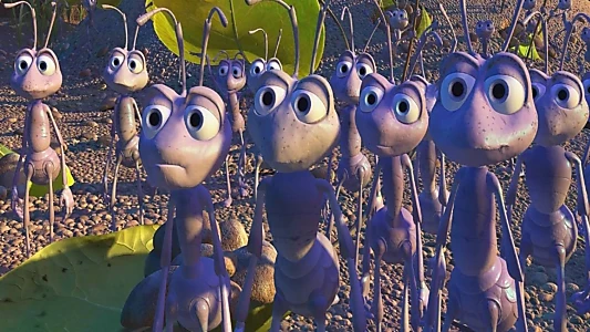 A Bug's Life