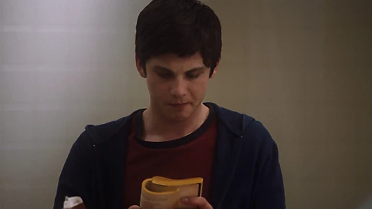 The Perks of Being a Wallflower