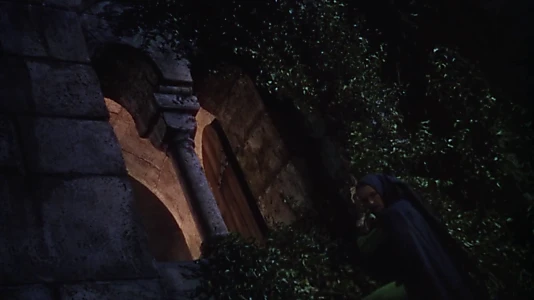 The Adventures of Robin Hood
