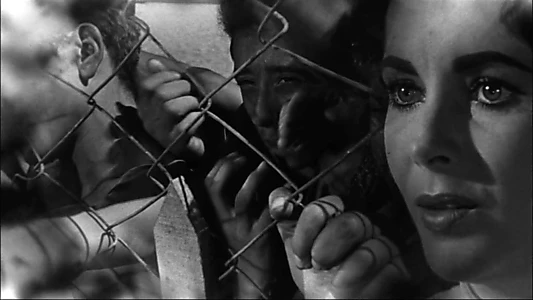 Suddenly, Last Summer