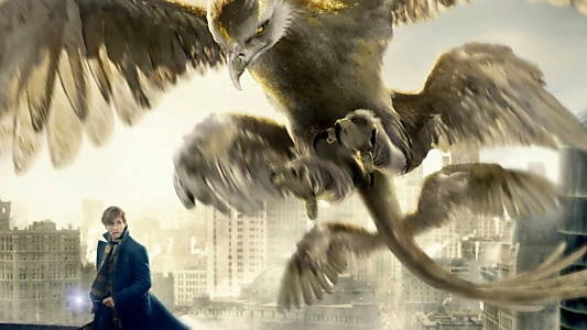 Fantastic Beasts and Where to Find Them