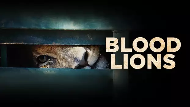 Watch Blood Lions Trailer