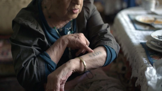 Watch A People Uncounted: The Untold Story of the Roma Trailer