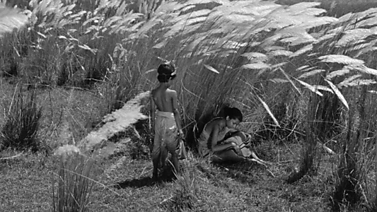 Watch Pather Panchali Trailer