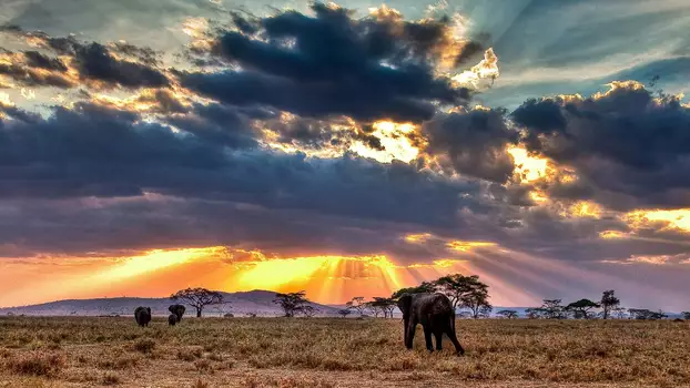 Nomads of the Serengeti