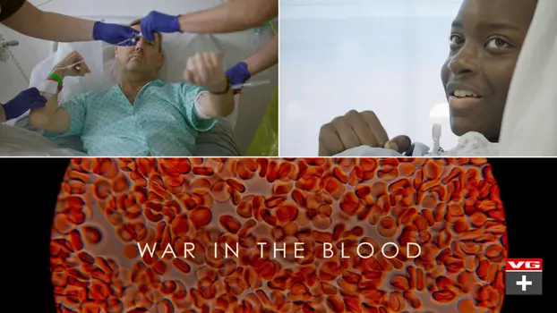 War in the Blood