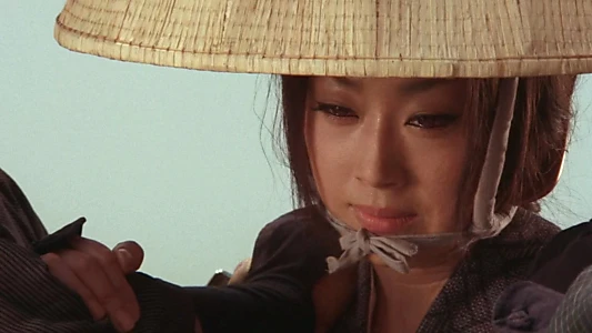 Lone Wolf and Cub: Baby Cart to Hades