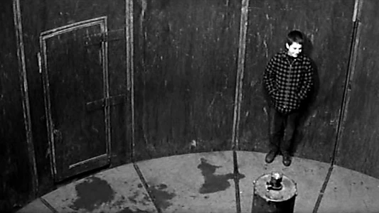 The 400 Blows