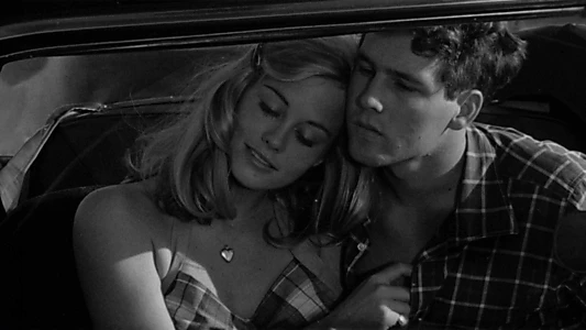 The Last Picture Show