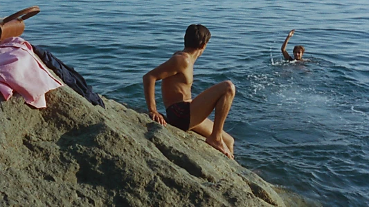 Purple Noon