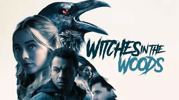 Watch Witches in the Woods Trailer