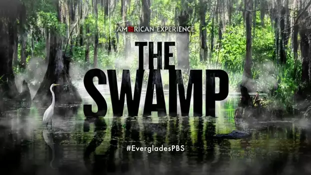 Watch The Swamp Trailer