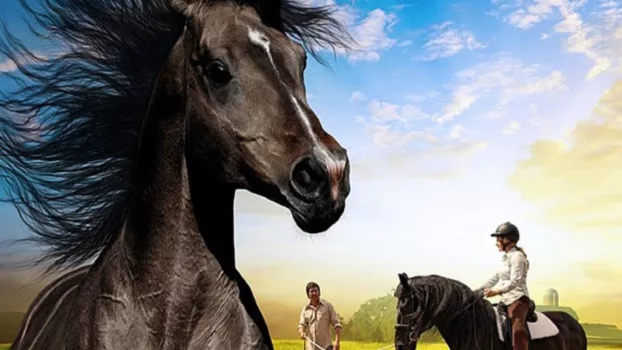 Watch The Dark Horse Trailer