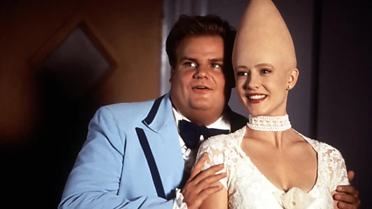 Watch Coneheads Trailer