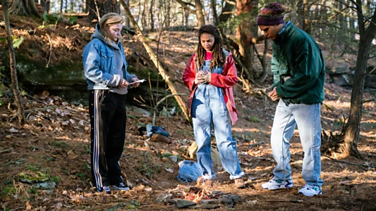 The Miseducation of Cameron Post