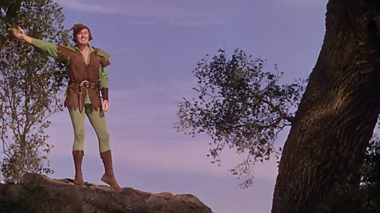 The Adventures of Robin Hood