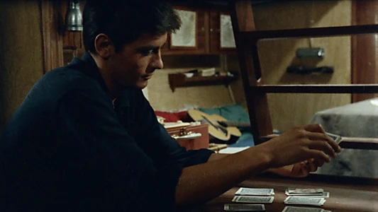 Purple Noon
