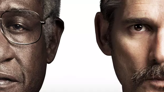 Watch The Forgiven Trailer