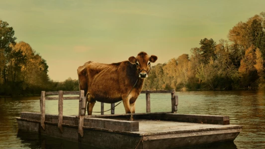 Watch First Cow Trailer