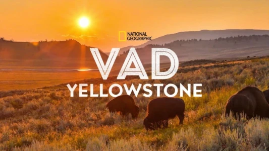 Watch Wild Yellowstone Trailer