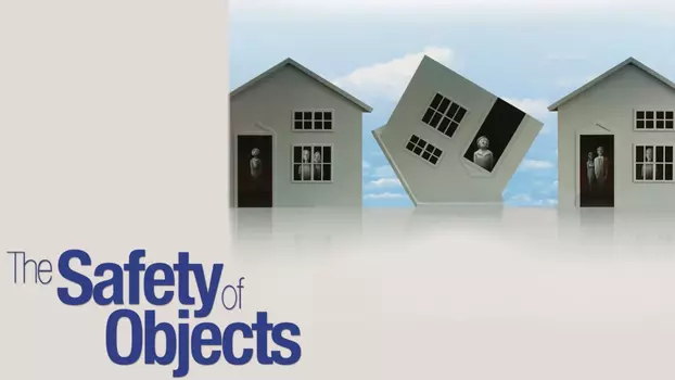 Watch The Safety of Objects Trailer