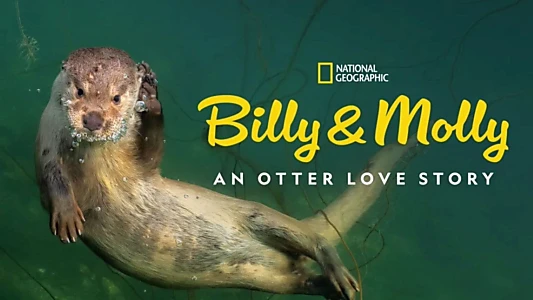 Billy & Molly: An Otter Love Story