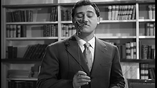 Good night… lawyer!