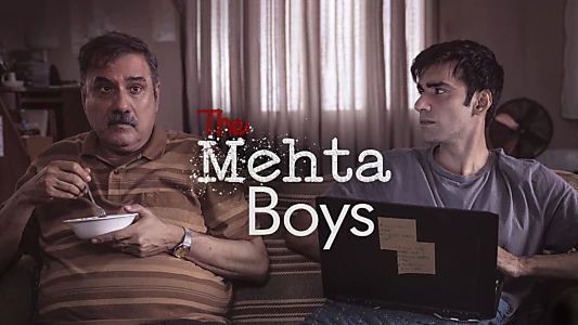 The Mehta Boys