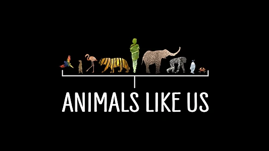 Animals Like Us