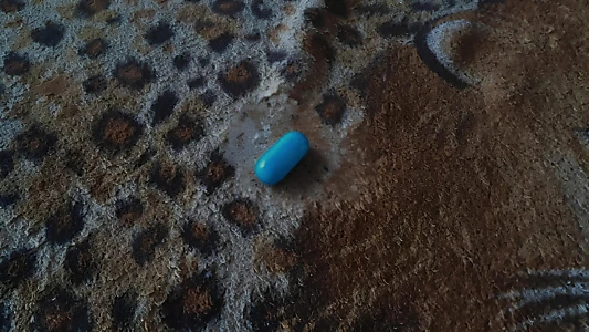 The Blue Pill