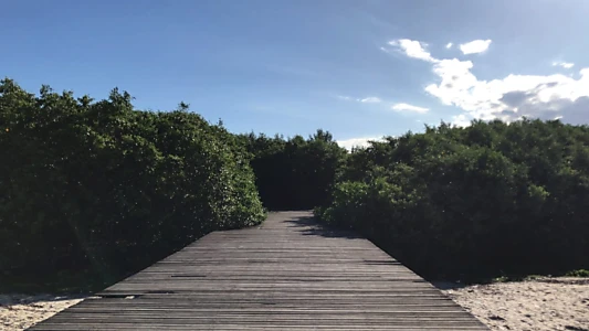 Sepetiba | Um Mar de Lembranças