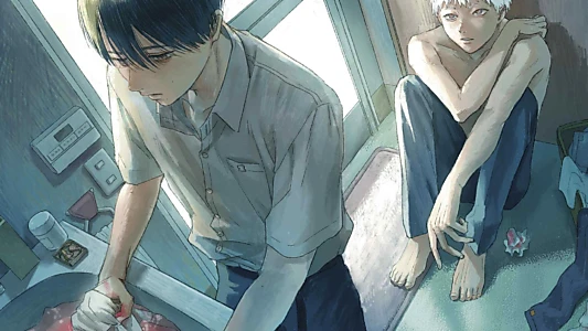 The Summer Hikaru Died