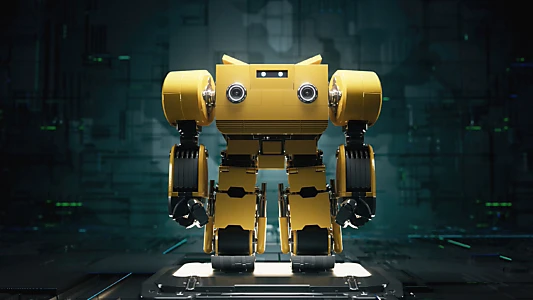 Mr.Robot