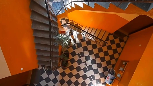 Documentary: Moving