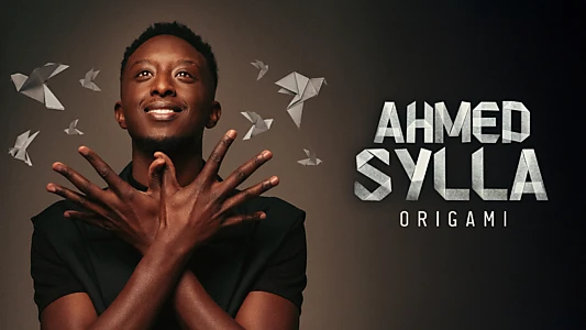 Ahmed Sylla : Origami