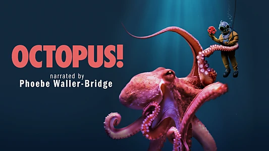 Octopus!