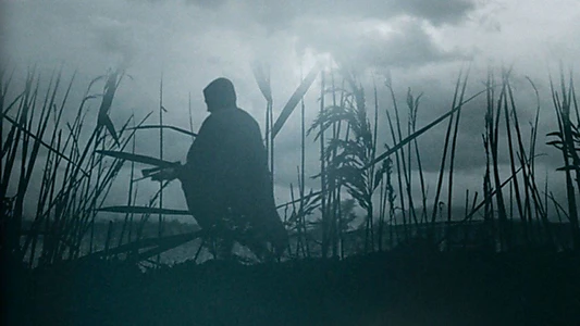 The Reeds