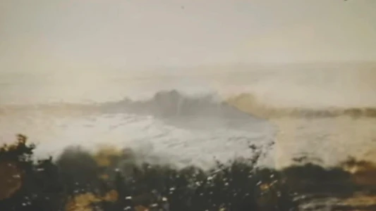 Valdivia 1960, El Gran Terremoto