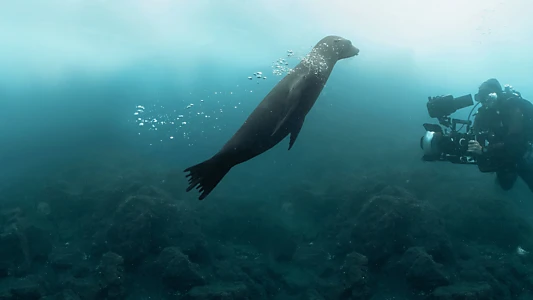 Guardians of the Galapagos