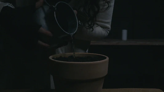 BLOOM - A Dystopian Short Film