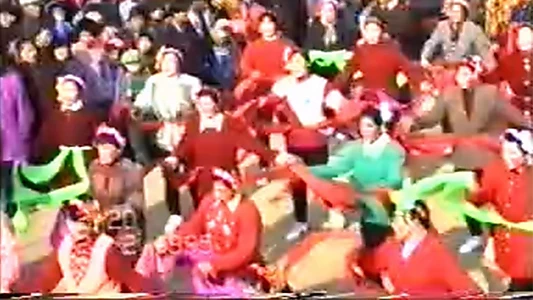 1995年2月2日民间举办迎喜花会