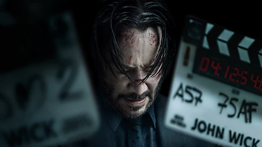 Wick Is Pain