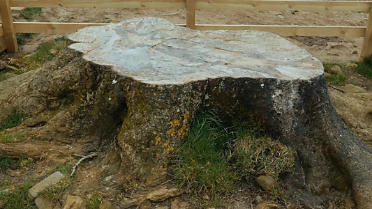 An Unbridgeable Gap