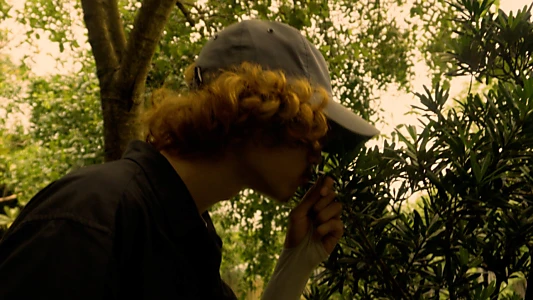 REELs