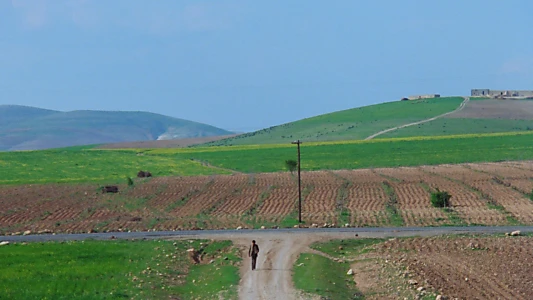 The Road