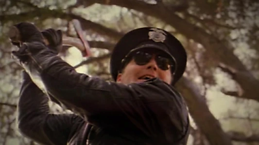 Psycho Cop