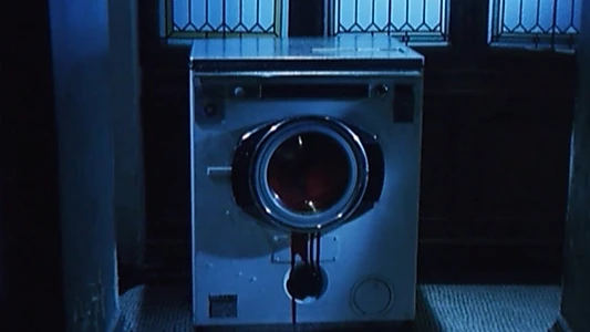 The Washing Machine