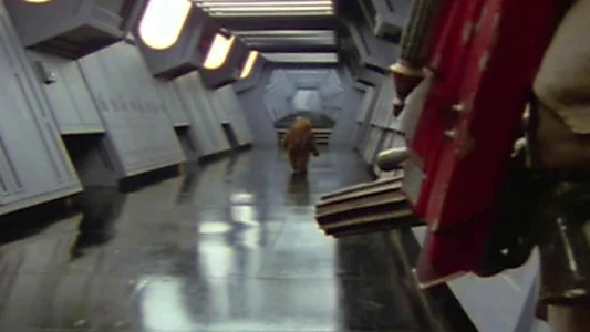 Return of the Ewok