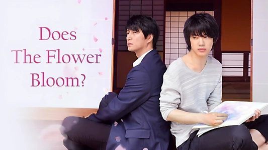 Does the Flower Bloom?