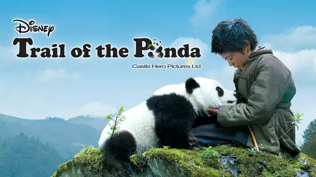 Trail of the Panda